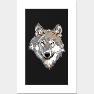 Cute Wolf Illustrated Animal Face Posters and Art